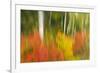 Canada, Ontario, Algonquin Provincial Park. Abstract of Autumn Scenic-Jaynes Gallery-Framed Photographic Print