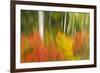 Canada, Ontario, Algonquin Provincial Park. Abstract of Autumn Scenic-Jaynes Gallery-Framed Photographic Print