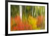 Canada, Ontario, Algonquin Provincial Park. Abstract of Autumn Scenic-Jaynes Gallery-Framed Photographic Print