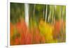 Canada, Ontario, Algonquin Provincial Park. Abstract of Autumn Scenic-Jaynes Gallery-Framed Photographic Print