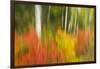 Canada, Ontario, Algonquin Provincial Park. Abstract of Autumn Scenic-Jaynes Gallery-Framed Photographic Print