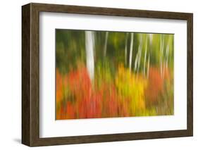 Canada, Ontario, Algonquin Provincial Park. Abstract of Autumn Scenic-Jaynes Gallery-Framed Photographic Print