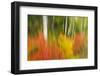 Canada, Ontario, Algonquin Provincial Park. Abstract of Autumn Scenic-Jaynes Gallery-Framed Photographic Print