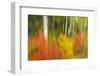 Canada, Ontario, Algonquin Provincial Park. Abstract of Autumn Scenic-Jaynes Gallery-Framed Photographic Print