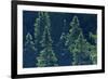 Canada, Ontario. Algonquin Provincial Park. Black Spruce Trees-Jaynes Gallery-Framed Photographic Print
