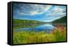 Canada, Ontario, Algonquin Provincial Park. Costello Lake-Jaynes Gallery-Framed Stretched Canvas