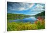 Canada, Ontario, Algonquin Provincial Park. Costello Lake-Jaynes Gallery-Framed Photographic Print