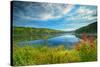 Canada, Ontario, Algonquin Provincial Park. Costello Lake-Jaynes Gallery-Stretched Canvas