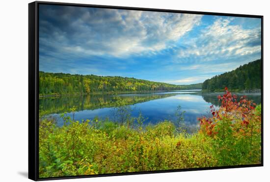 Canada, Ontario, Algonquin Provincial Park. Costello Lake-Jaynes Gallery-Framed Stretched Canvas