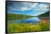 Canada, Ontario, Algonquin Provincial Park. Costello Lake-Jaynes Gallery-Framed Stretched Canvas