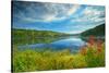 Canada, Ontario, Algonquin Provincial Park. Costello Lake-Jaynes Gallery-Stretched Canvas