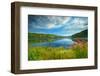 Canada, Ontario, Algonquin Provincial Park. Costello Lake-Jaynes Gallery-Framed Photographic Print