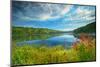 Canada, Ontario, Algonquin Provincial Park. Costello Lake-Jaynes Gallery-Mounted Photographic Print