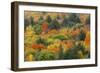 Canada, Ontario, Algonquin Provincial Park. Hill in Autumn Foliage-Jaynes Gallery-Framed Photographic Print