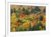 Canada, Ontario, Algonquin Provincial Park. Hill in Autumn Foliage-Jaynes Gallery-Framed Photographic Print