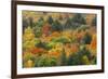 Canada, Ontario, Algonquin Provincial Park. Hill in Autumn Foliage-Jaynes Gallery-Framed Photographic Print