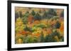 Canada, Ontario, Algonquin Provincial Park. Hill in Autumn Foliage-Jaynes Gallery-Framed Photographic Print