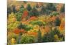 Canada, Ontario, Algonquin Provincial Park. Hill in Autumn Foliage-Jaynes Gallery-Mounted Photographic Print