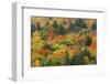 Canada, Ontario, Algonquin Provincial Park. Hill in Autumn Foliage-Jaynes Gallery-Framed Photographic Print