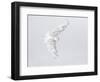 Canada, Ontario. Female snowy owl in flight.-Jaynes Gallery-Framed Photographic Print