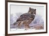 Canada, Ontario. Great horned owl close-up.-Jaynes Gallery-Framed Premium Photographic Print