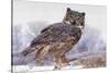 Canada, Ontario. Great horned owl close-up.-Jaynes Gallery-Stretched Canvas