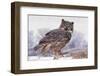 Canada, Ontario. Great horned owl close-up.-Jaynes Gallery-Framed Photographic Print