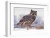 Canada, Ontario. Great horned owl close-up.-Jaynes Gallery-Framed Photographic Print