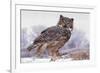 Canada, Ontario. Great horned owl close-up.-Jaynes Gallery-Framed Photographic Print