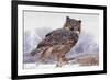 Canada, Ontario. Great horned owl close-up.-Jaynes Gallery-Framed Photographic Print