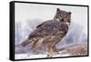 Canada, Ontario. Great horned owl close-up.-Jaynes Gallery-Framed Stretched Canvas