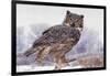 Canada, Ontario. Great horned owl close-up.-Jaynes Gallery-Framed Photographic Print