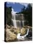 Canada, Ontario, Hamilton, Webster's Falls-Mike Grandmaison-Stretched Canvas