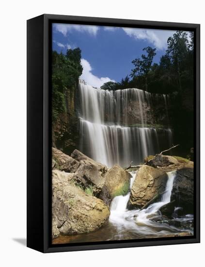 Canada, Ontario, Hamilton, Webster's Falls-Mike Grandmaison-Framed Stretched Canvas