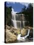 Canada, Ontario, Hamilton, Webster's Falls-Mike Grandmaison-Stretched Canvas