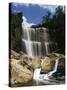 Canada, Ontario, Hamilton, Webster's Falls-Mike Grandmaison-Stretched Canvas