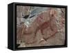 Canada, Ontario, Lake Superior Park, Agawa Rock Pictographs-Frank Zurey-Framed Stretched Canvas