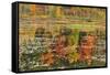 Canada, Ontario, Minden. Reflection of Autumn-Colored Trees in Pond-Jaynes Gallery-Framed Stretched Canvas