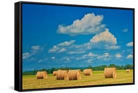 Canada, Ontario, New Liskeard. Hay bales in farm field.-Jaynes Gallery-Framed Stretched Canvas