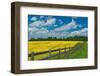 Canada, Ontario, New Liskeard. Yellow canola crop and wooden fence.-Jaynes Gallery-Framed Photographic Print