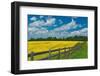 Canada, Ontario, New Liskeard. Yellow canola crop and wooden fence.-Jaynes Gallery-Framed Photographic Print