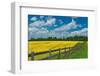 Canada, Ontario, New Liskeard. Yellow canola crop and wooden fence.-Jaynes Gallery-Framed Photographic Print