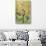 Canada, Ontario, Niagara On the Lake Wine Country, vineyards, autumn-Walter Bibikow-Stretched Canvas displayed on a wall