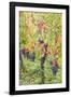 Canada, Ontario, Niagara On the Lake Wine Country, vineyards, autumn-Walter Bibikow-Framed Photographic Print