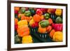 Canada, Ontario, Ottawa, Byward Market, peppers-Walter Bibikow-Framed Photographic Print