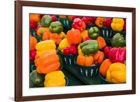 Canada, Ontario, Ottawa, Byward Market, peppers-Walter Bibikow-Framed Photographic Print