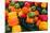 Canada, Ontario, Ottawa, Byward Market, peppers-Walter Bibikow-Mounted Photographic Print