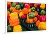 Canada, Ontario, Ottawa, Byward Market, peppers-Walter Bibikow-Framed Premium Photographic Print