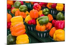 Canada, Ontario, Ottawa, Byward Market, peppers-Walter Bibikow-Mounted Premium Photographic Print