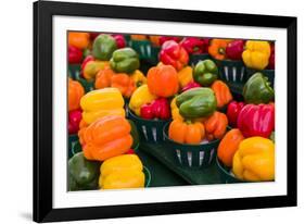 Canada, Ontario, Ottawa, Byward Market, peppers-Walter Bibikow-Framed Photographic Print